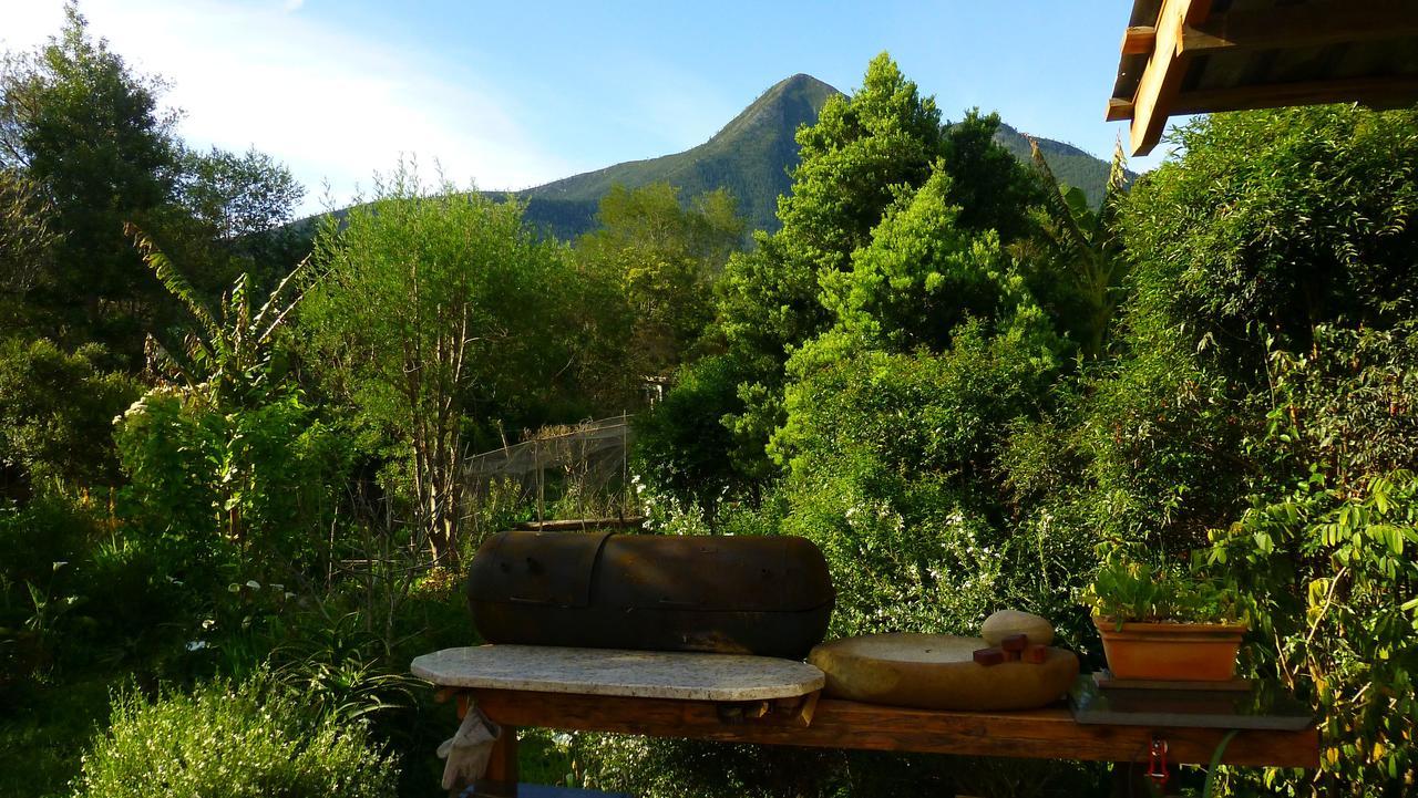 Boutique Vintage Forest Cabin Stormsrivier Extérieur photo