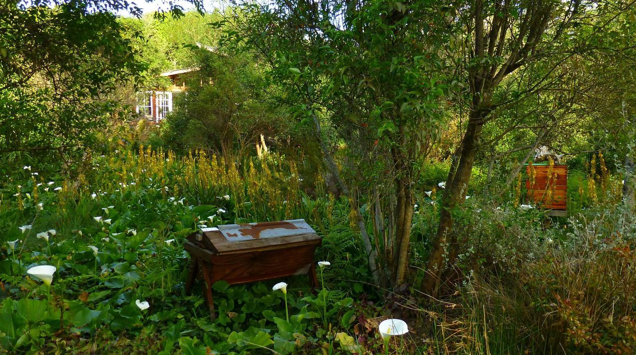 Boutique Vintage Forest Cabin Stormsrivier Extérieur photo
