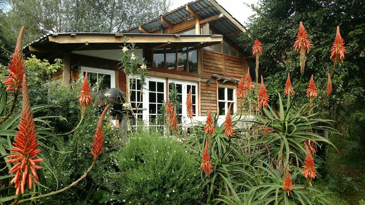 Boutique Vintage Forest Cabin Stormsrivier Extérieur photo